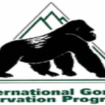 International Gorilla Conservation Programme